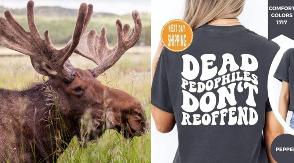 Elderly Man is Killed with Moose Antler Because of 40 Year Old Sex Offense, Killer Goes Free